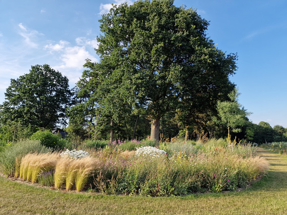 Gräsergarten