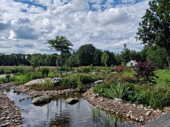 Sommer am Bachlauf