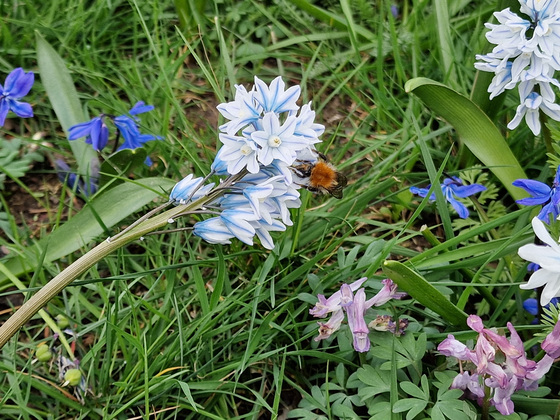 Frühlingserwachen