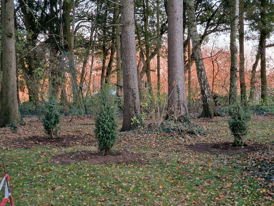 Herbst im Wald