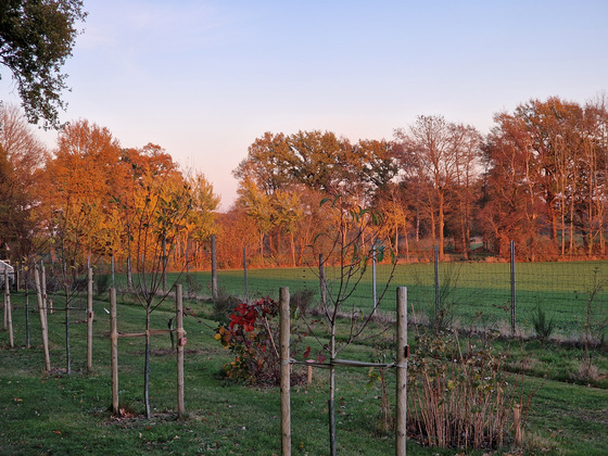 Herbstfärbung